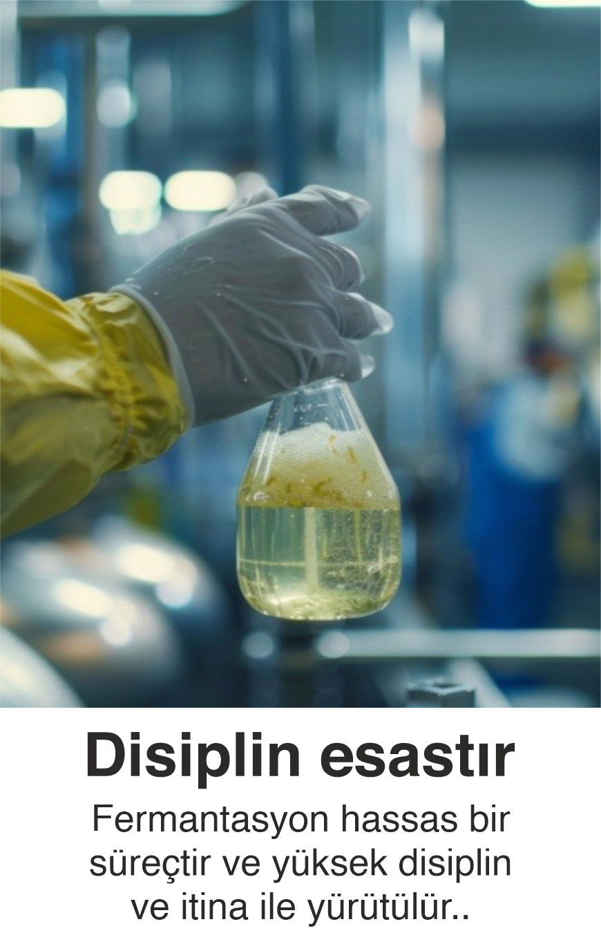 4 Nesneden Oluşan Grup (13)