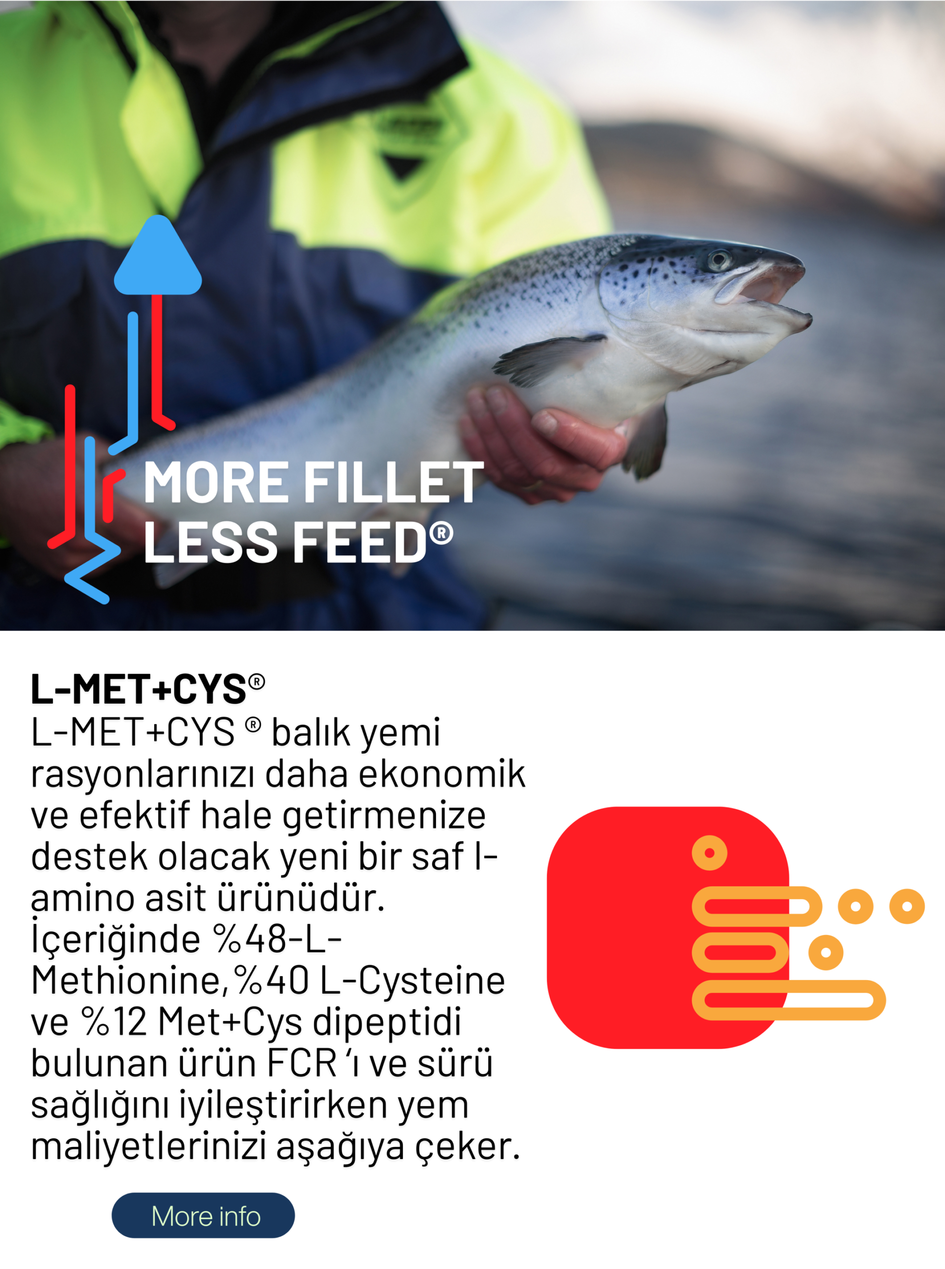 Biteşlem (1)