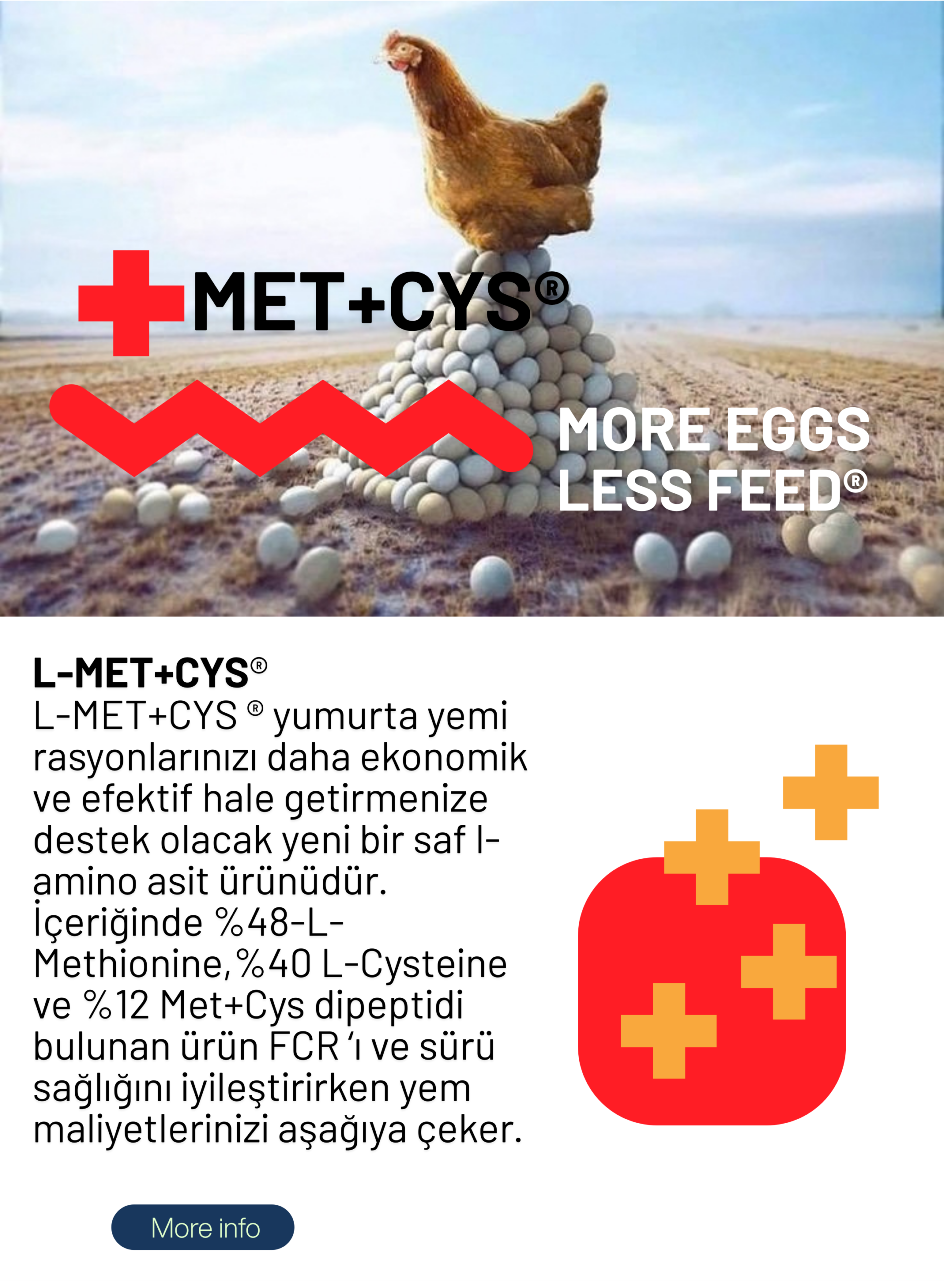 Biteşlem (2)