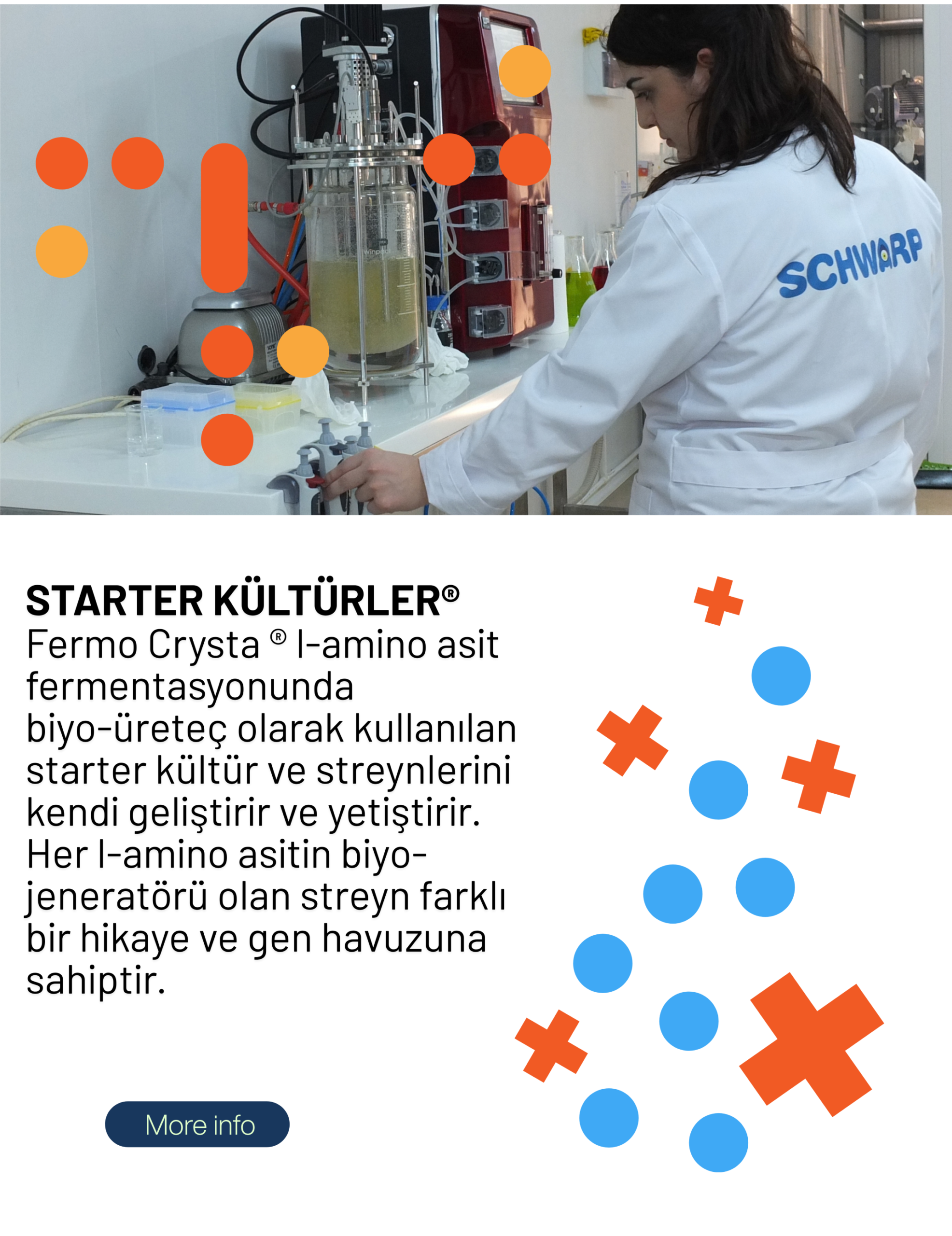 Biteşlem (6)