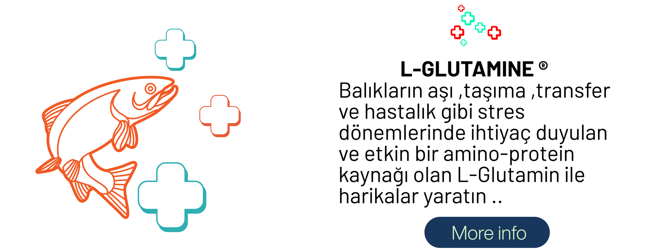 PowerClip Uygulanmış Dikdörtgen