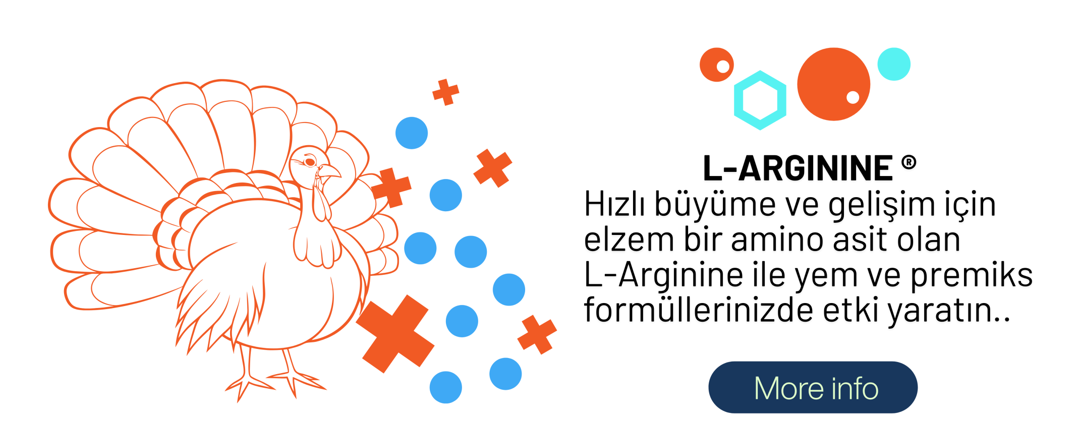 PowerClip Uygulanmış Dikdörtgen (2)